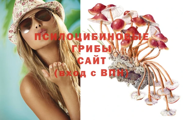 кристаллы Абаза