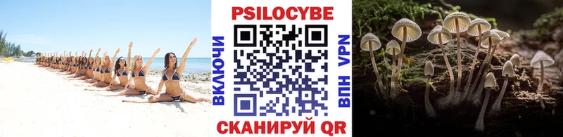 Галлюциногенные грибы Psilocybe  Кимовск 